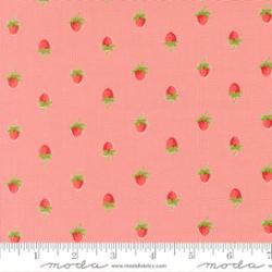 Bloomsberry by Camille Roskelley for Moda - 1/2 yard Blush 55352 16