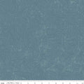 National Parks by Anderson Design Group for Riley Blake - 1/2 yard Topgraphic Blue
