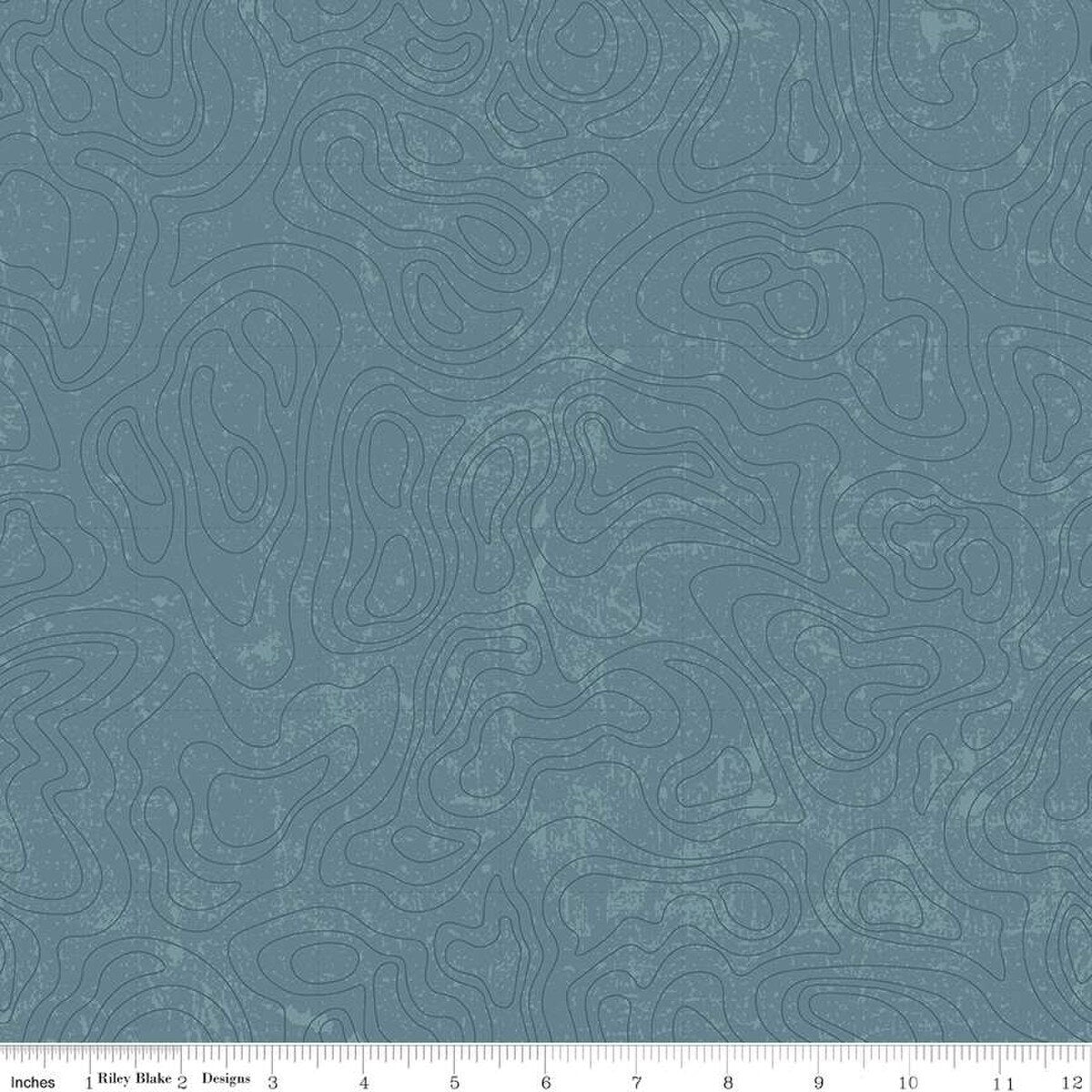 National Parks by Anderson Design Group for Riley Blake - 1/2 yard Topgraphic Blue