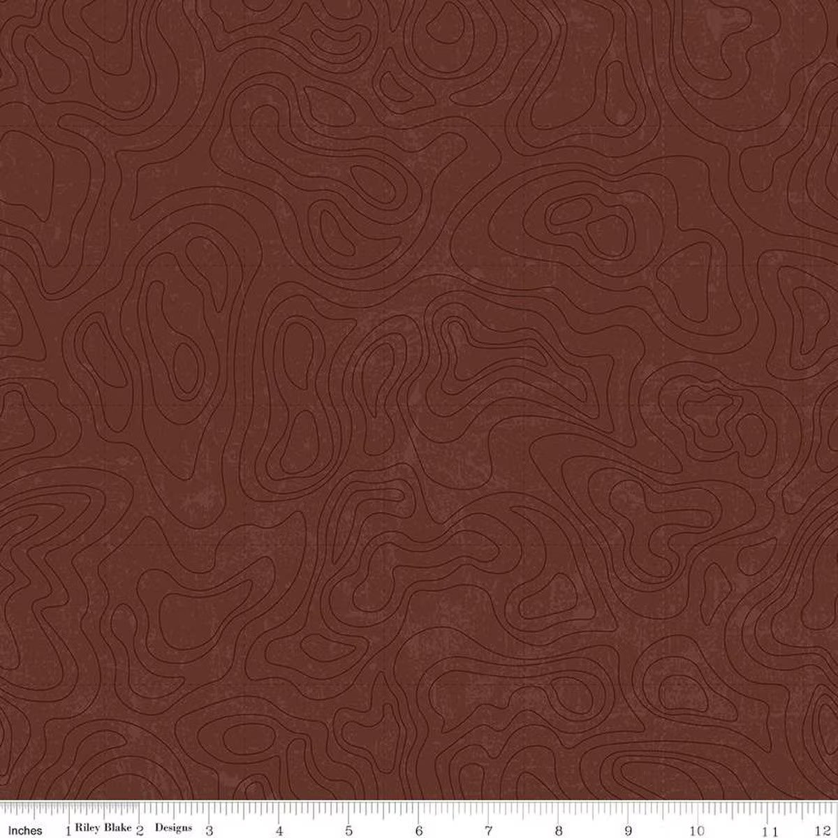 National Parks by Anderson Design Group for Riley Blake - 1/2 yard Topographic Brown