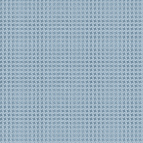 Anne of Green Gables by Riley Blake - 1/2 Yard Gingham Blue